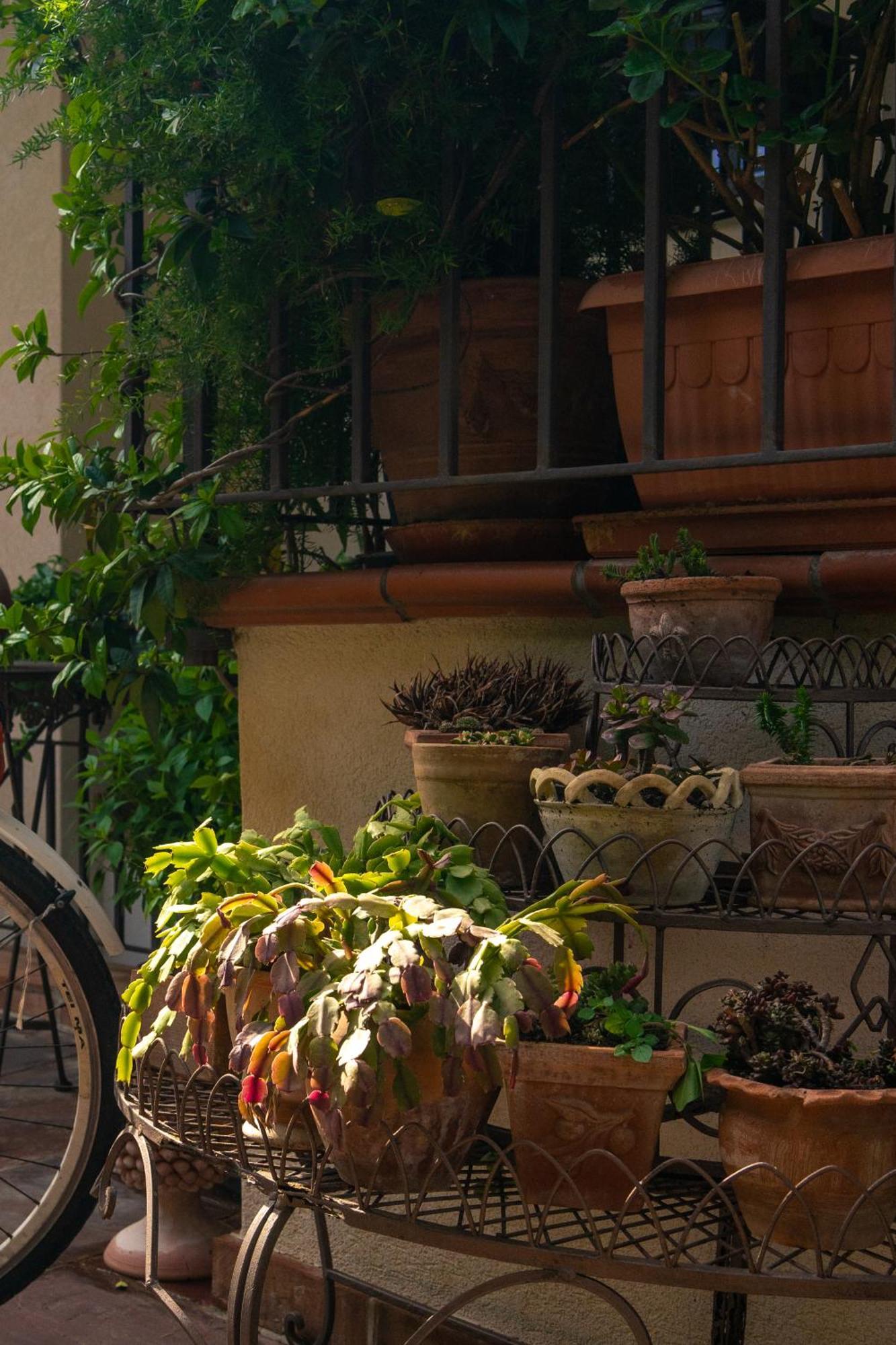 Guest House Antichi Ulivi Mondello Exterior foto